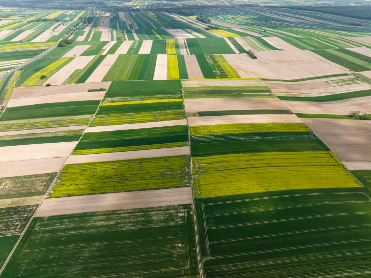 DJI_0071-HDR