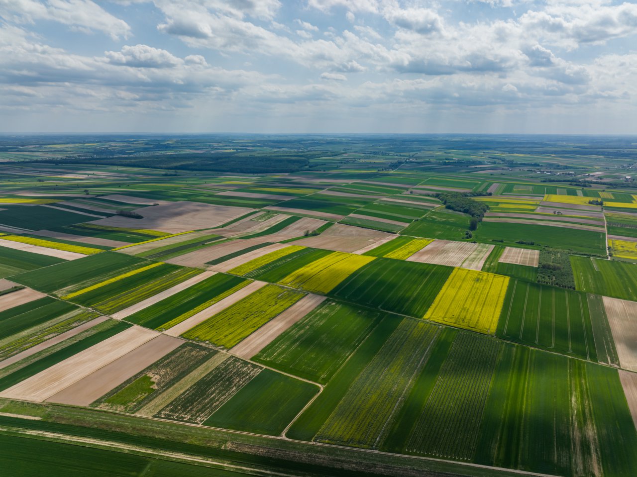 DJI_0106-HDR