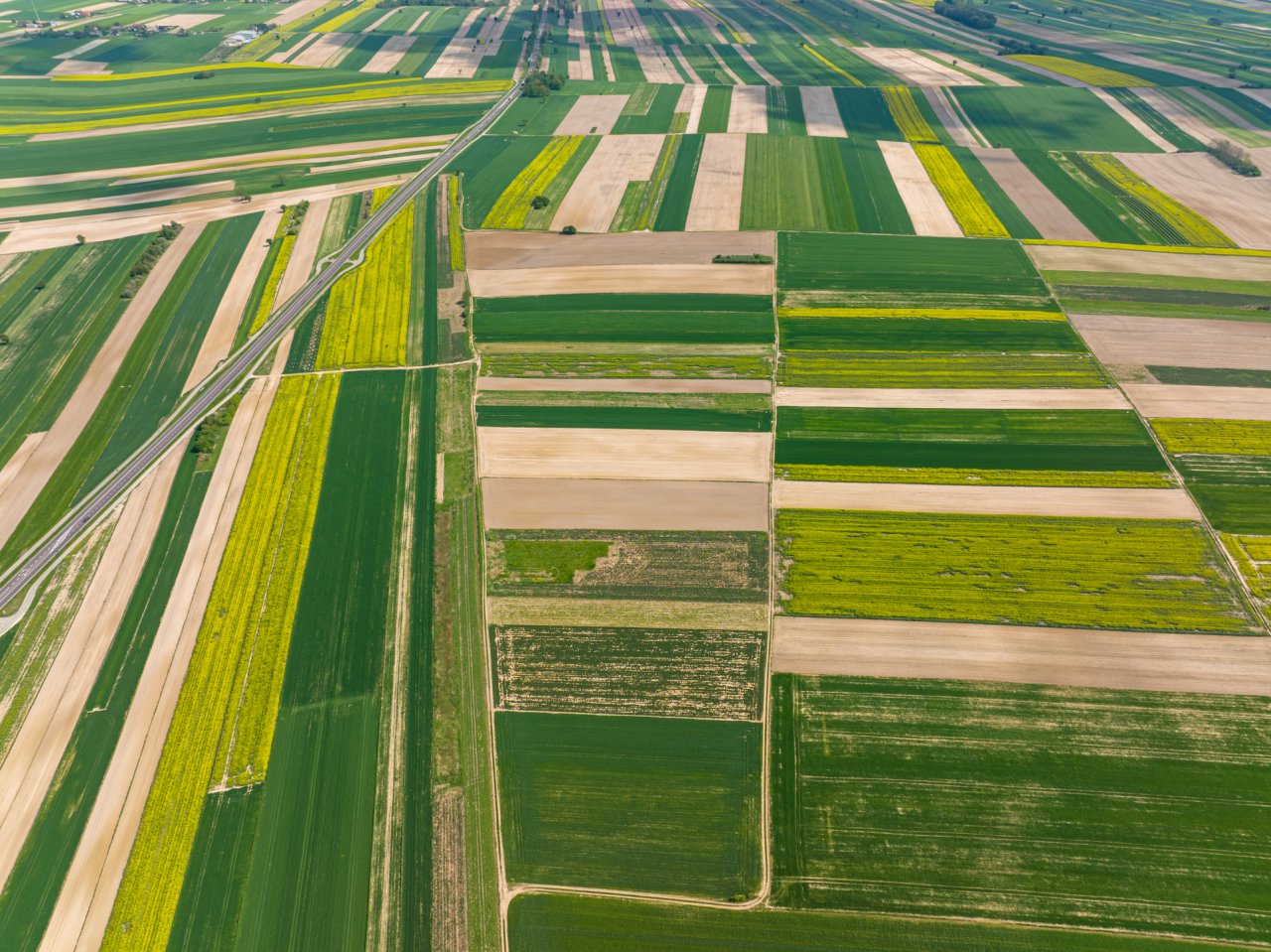 DJI_0131-HDR
