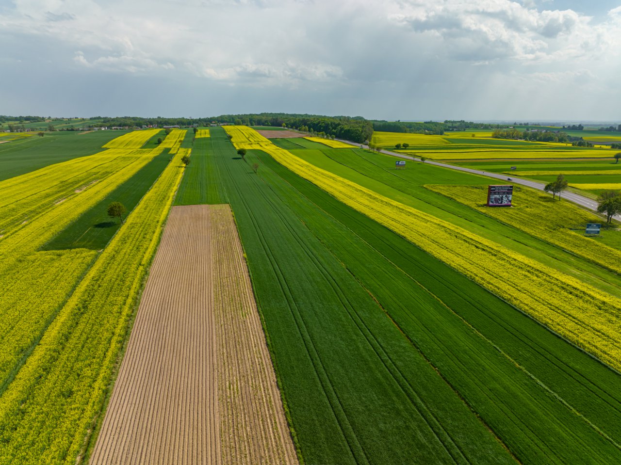DJI_0650-HDR