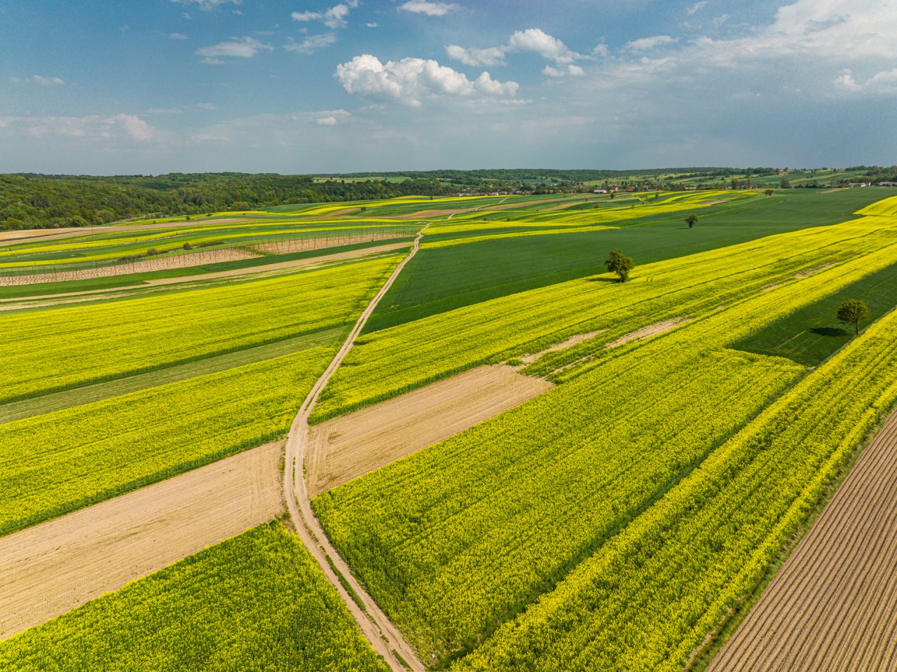 DJI_0655-HDR