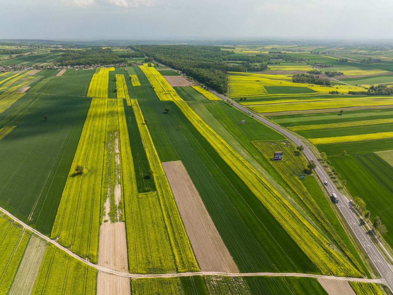DJI_0680-HDR