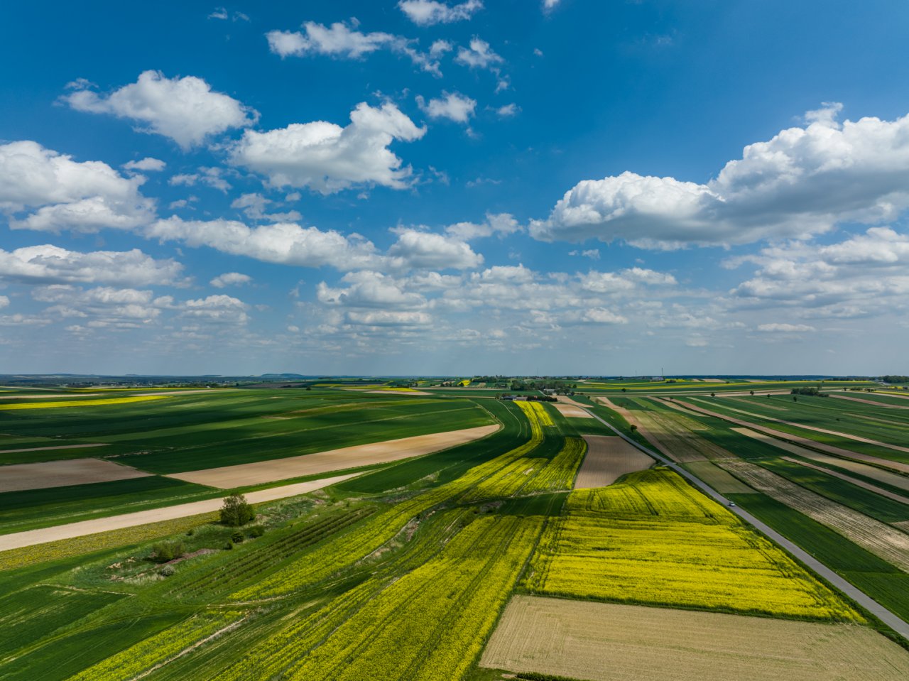 DJI_0985-HDR