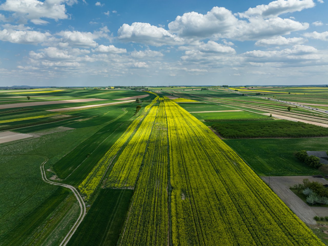 DJI_0990-HDR