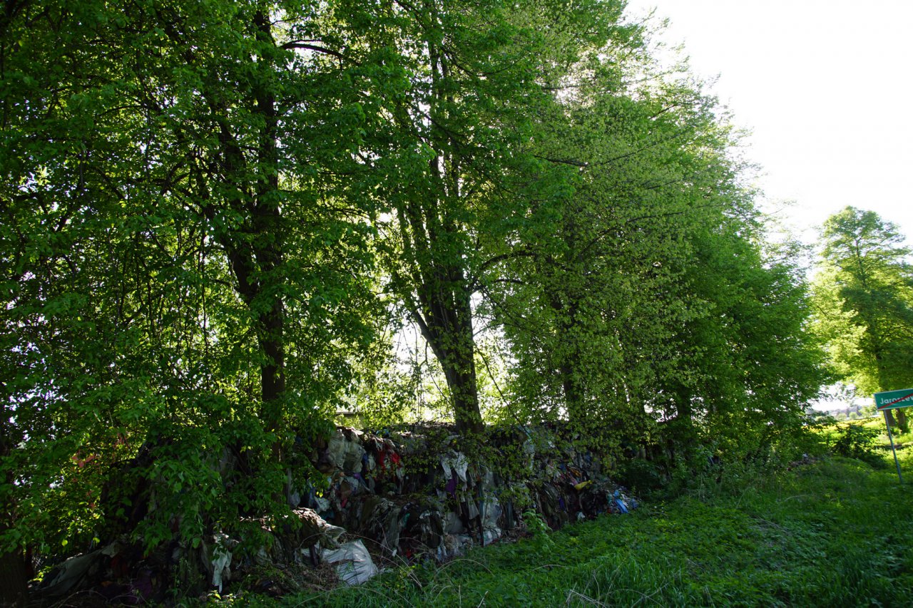 DSC08231