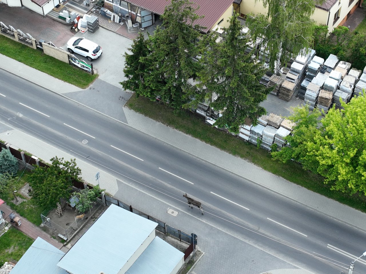DJI_0084