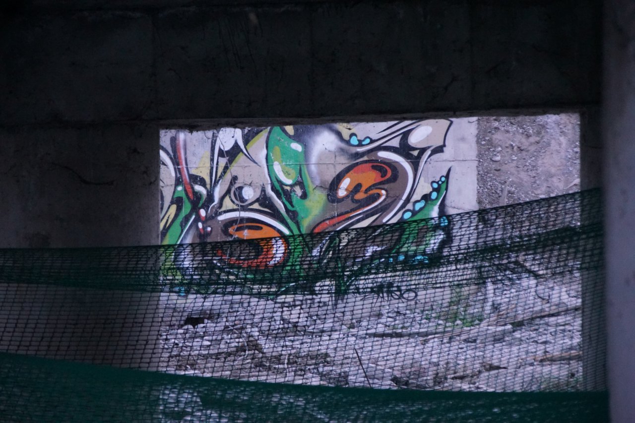 DSC09611