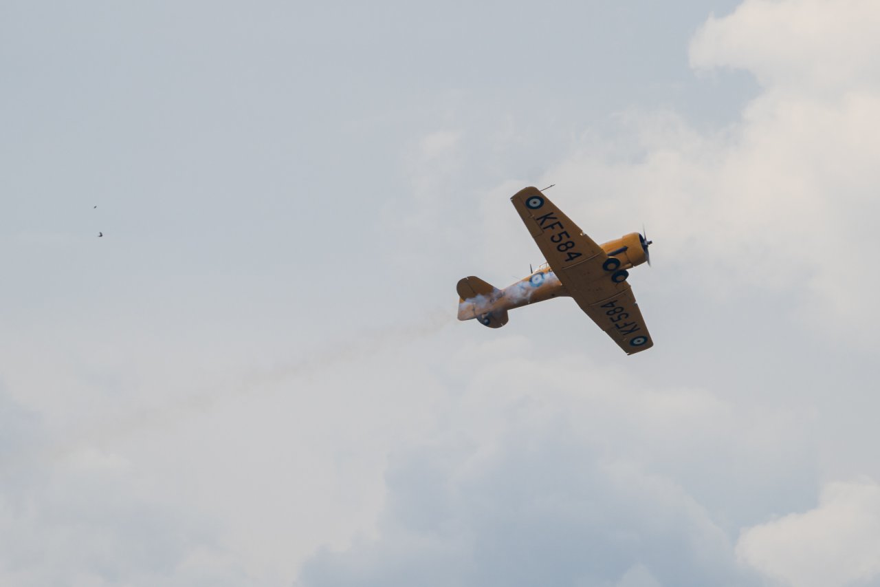 DSC03421