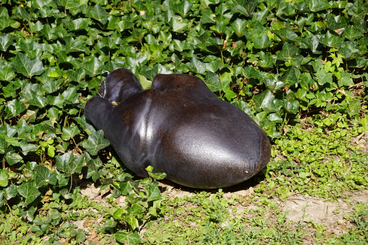 DSC06682