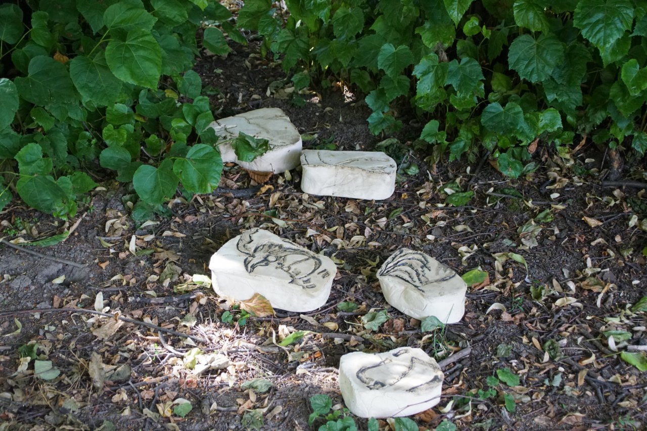 DSC06690