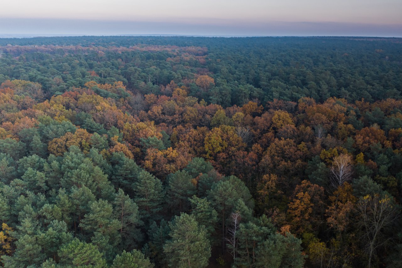 DJI_0329-HDR