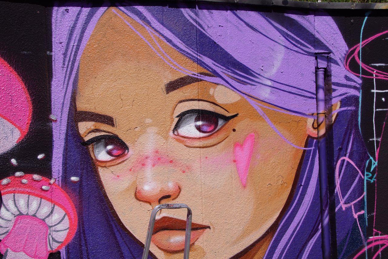DSC00446