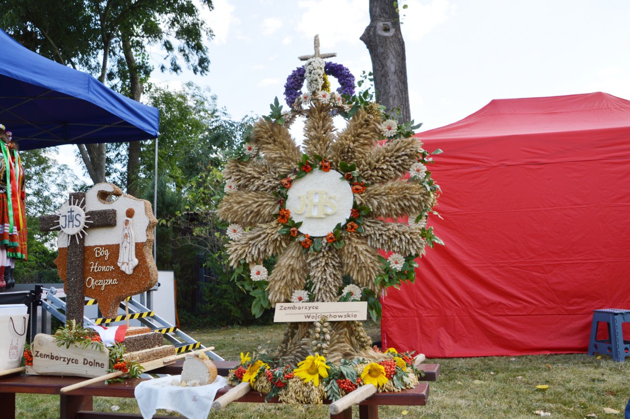 DSC_7566