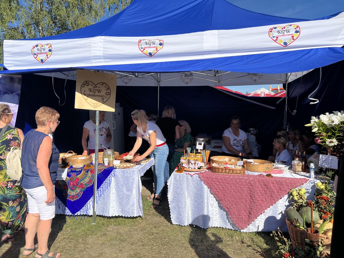 115a6