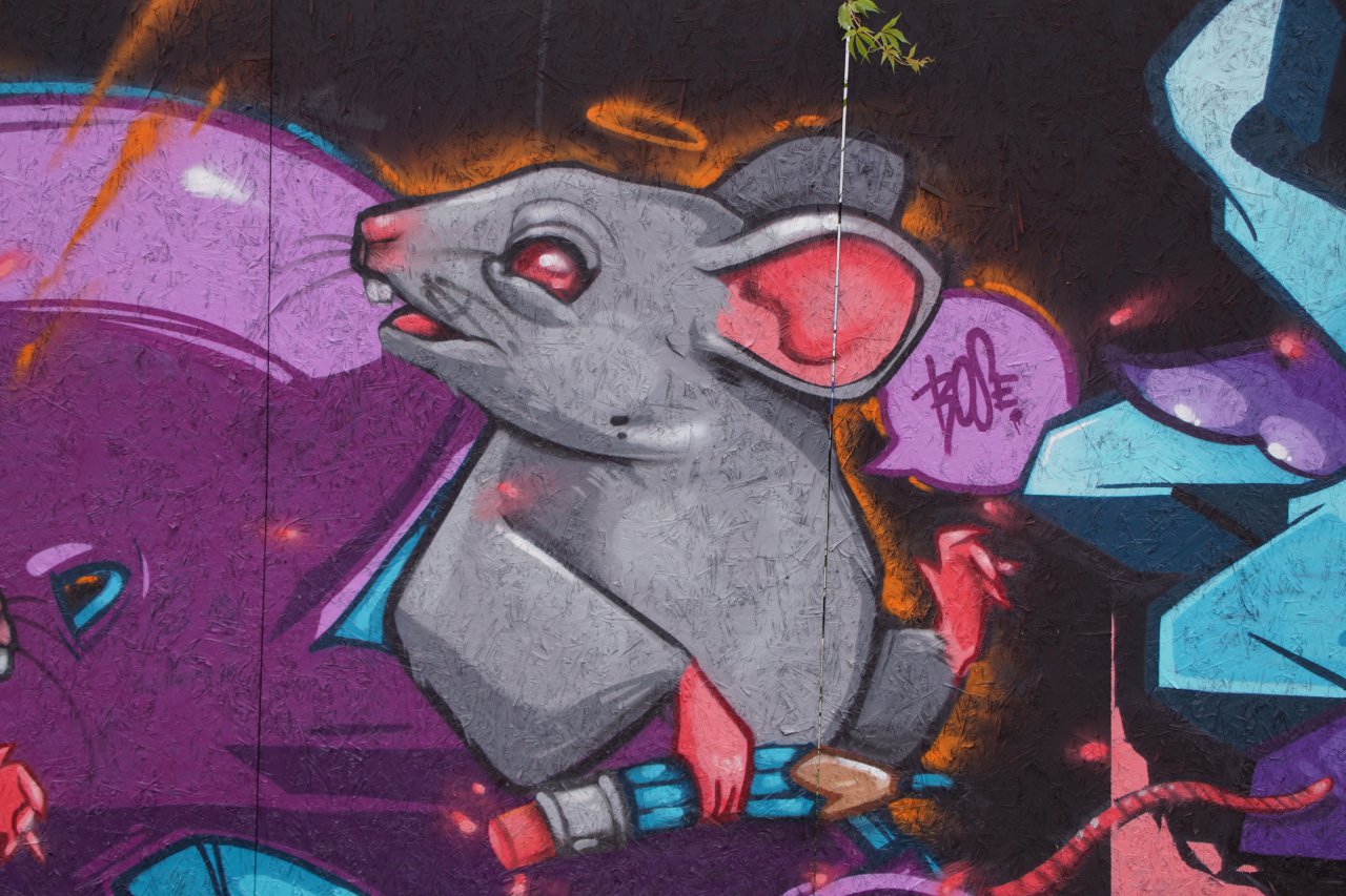 DSC00250