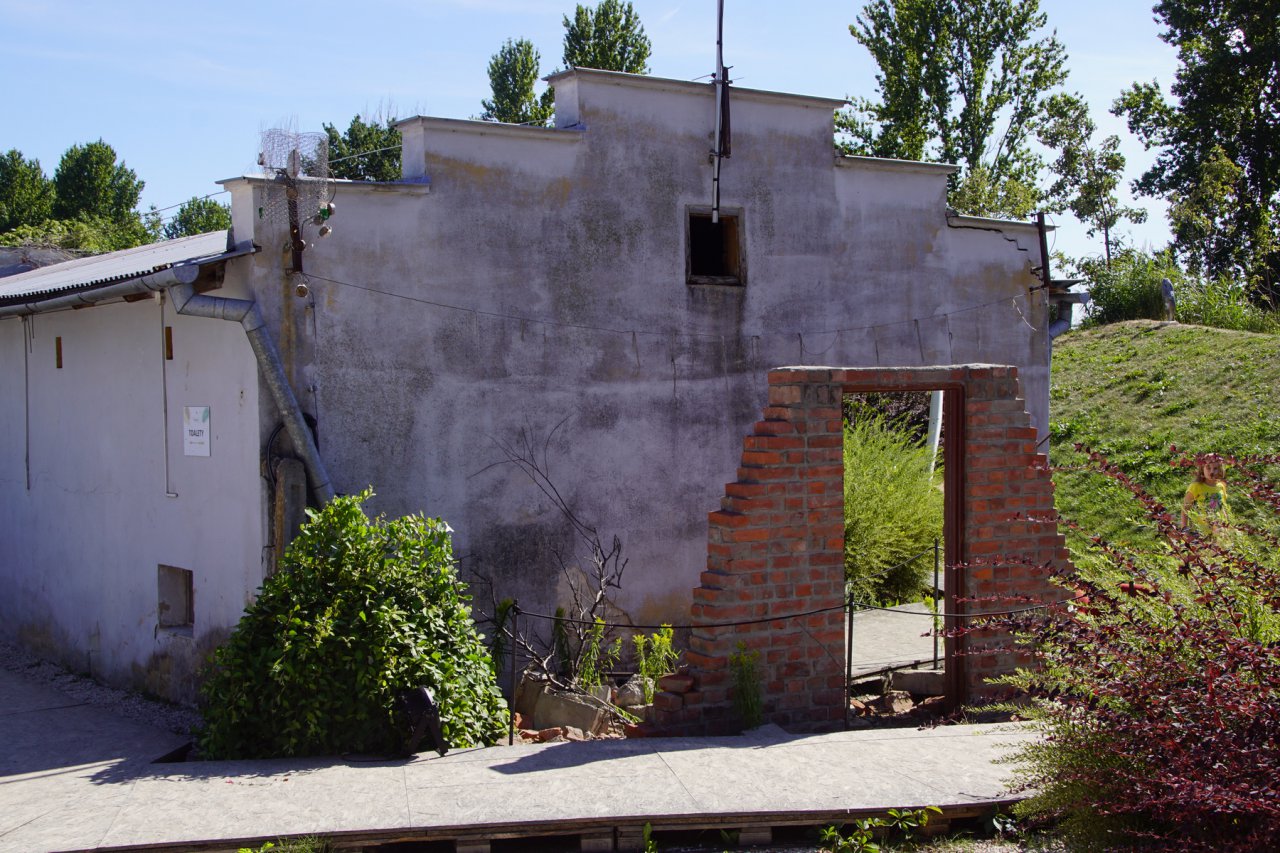 DSC00553