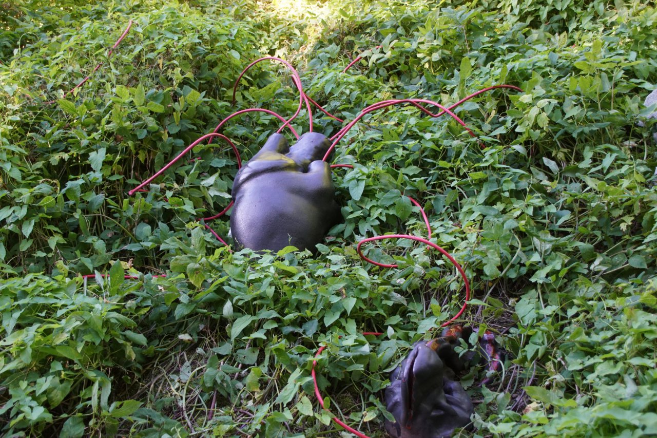 DSC00562
