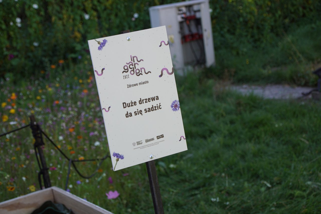 DSC00616