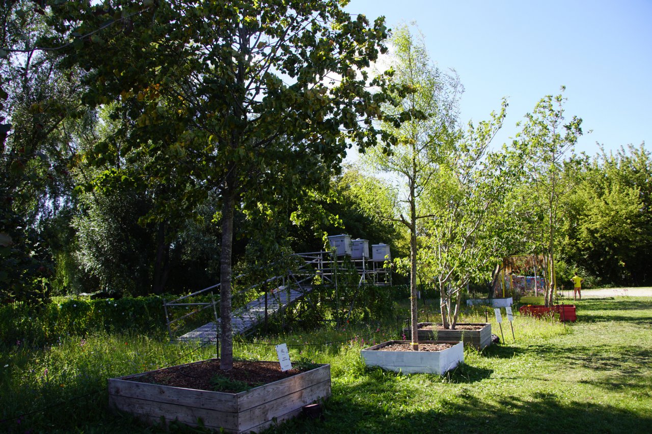 DSC00618