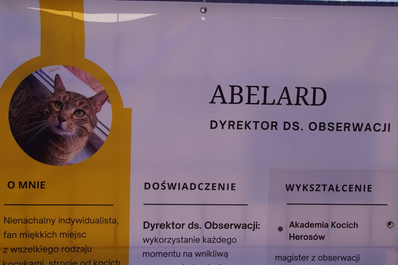 DSC00289