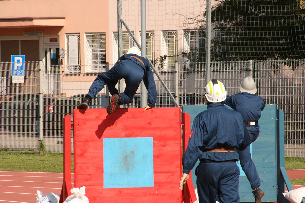 IMG_4195