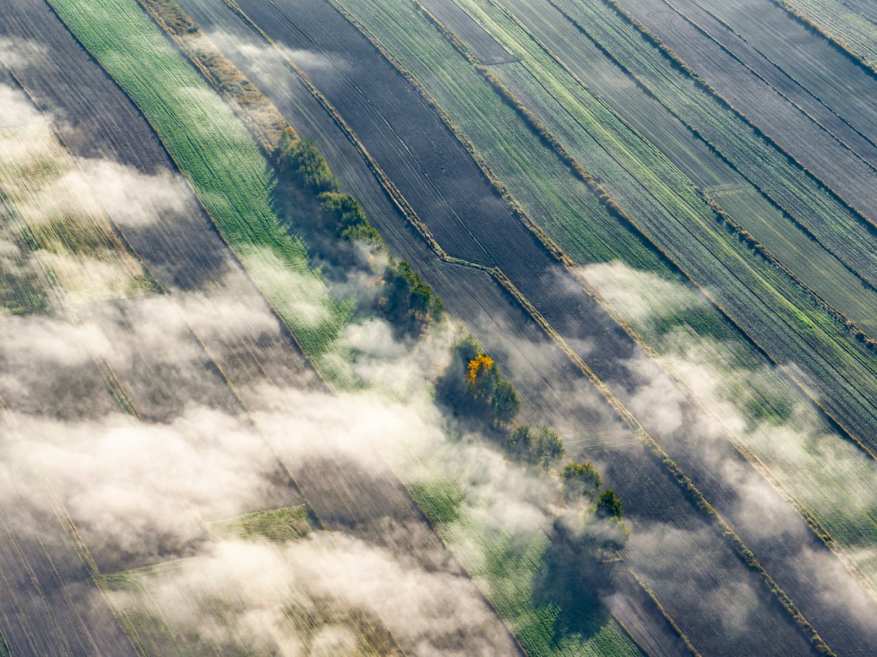 DJI_0371-DNG_DxO_DeepPRIME-2-HDR