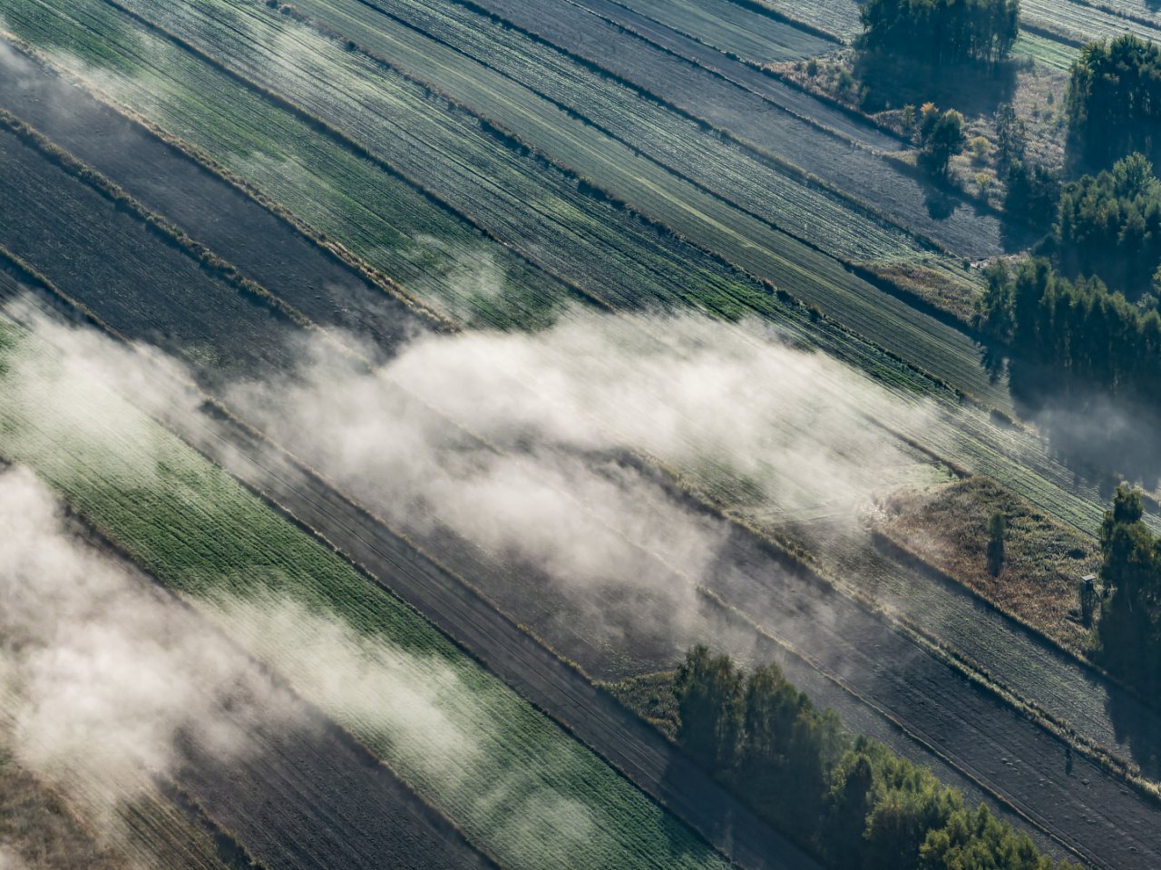 DJI_0501-DNG_DxO_DeepPRIME-2-HDR