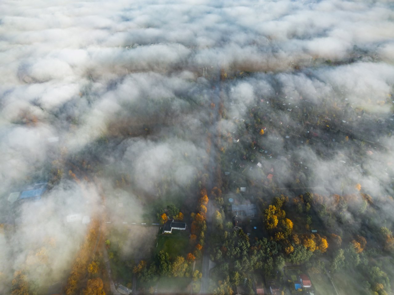 DJI_0506-DNG_DxO_DeepPRIME-2