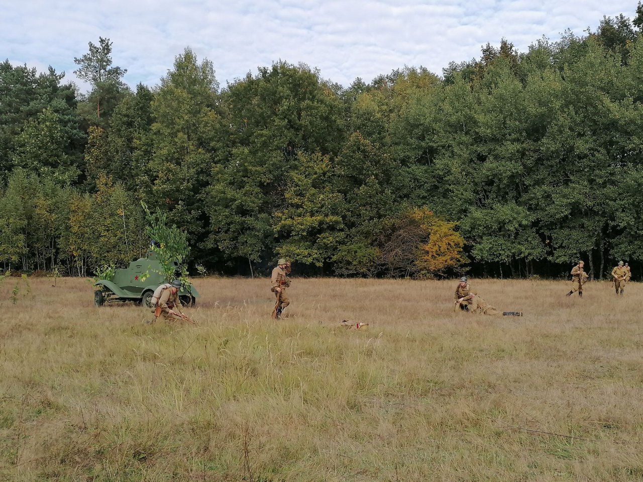 115z11