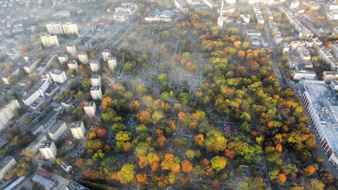 dji_fly_20221007_071216_908_1665119751052_photo_optimized