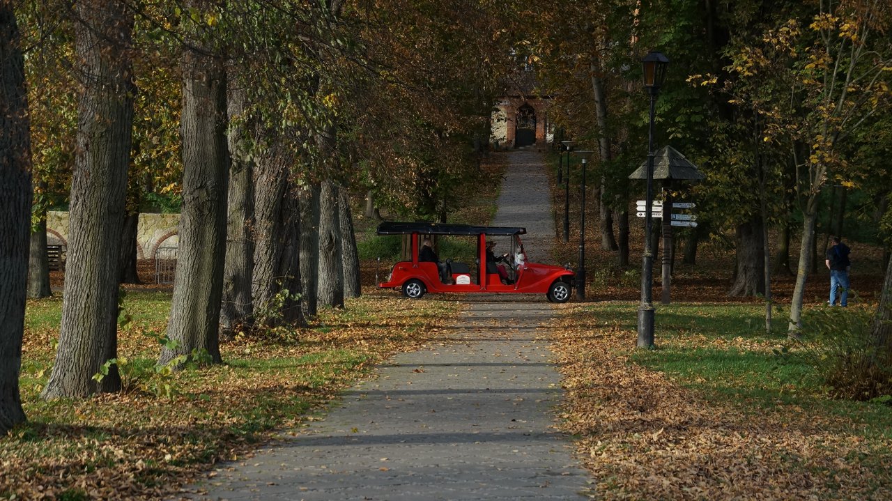 DSC01479