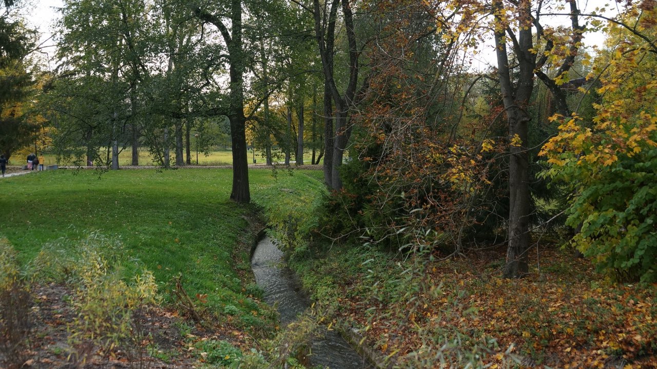 DSC01489