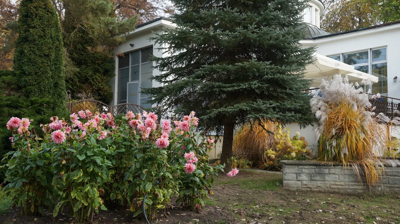 DSC01492