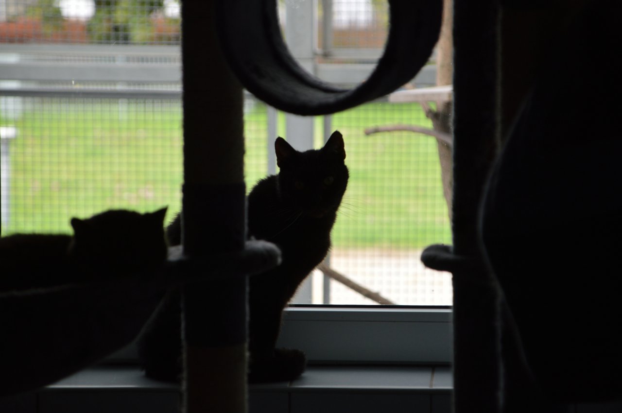 DSC_1908