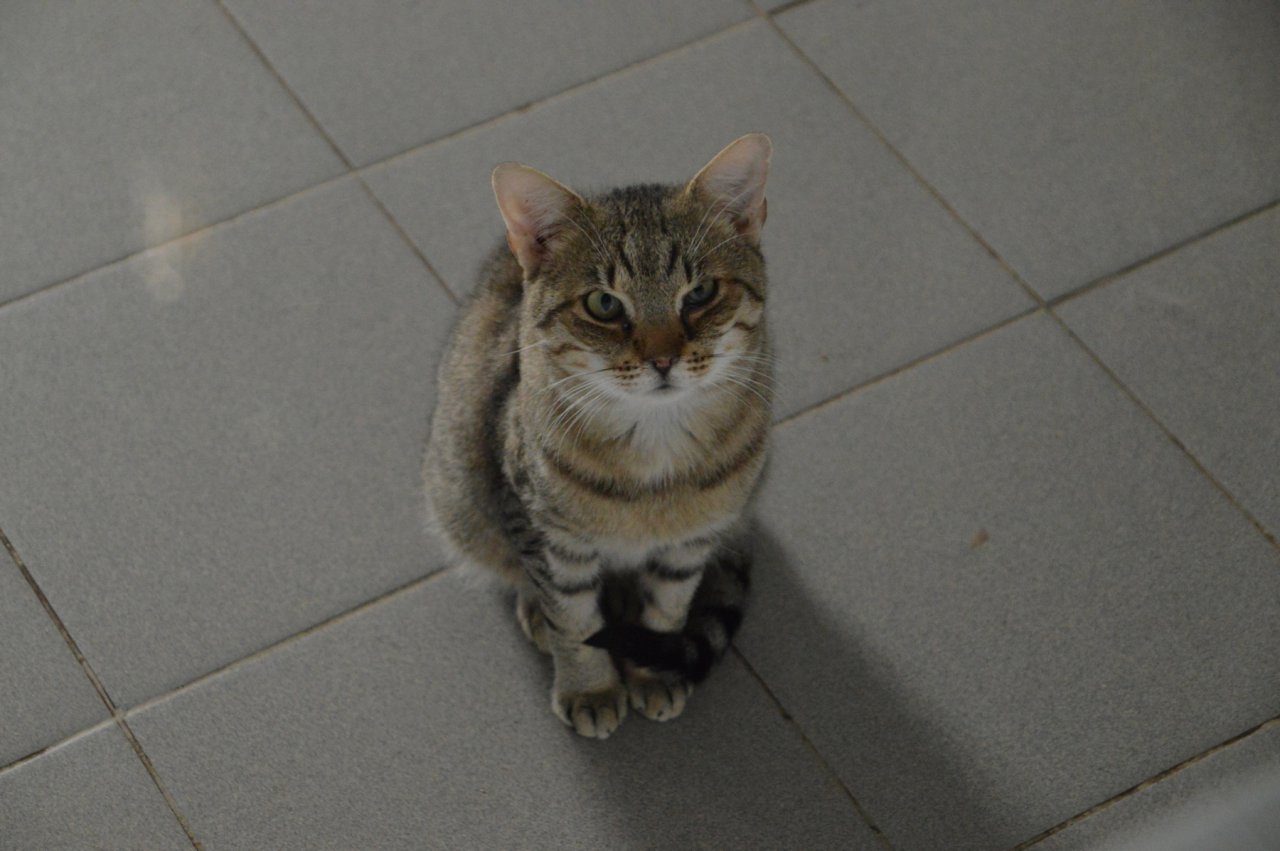 DSC_1911