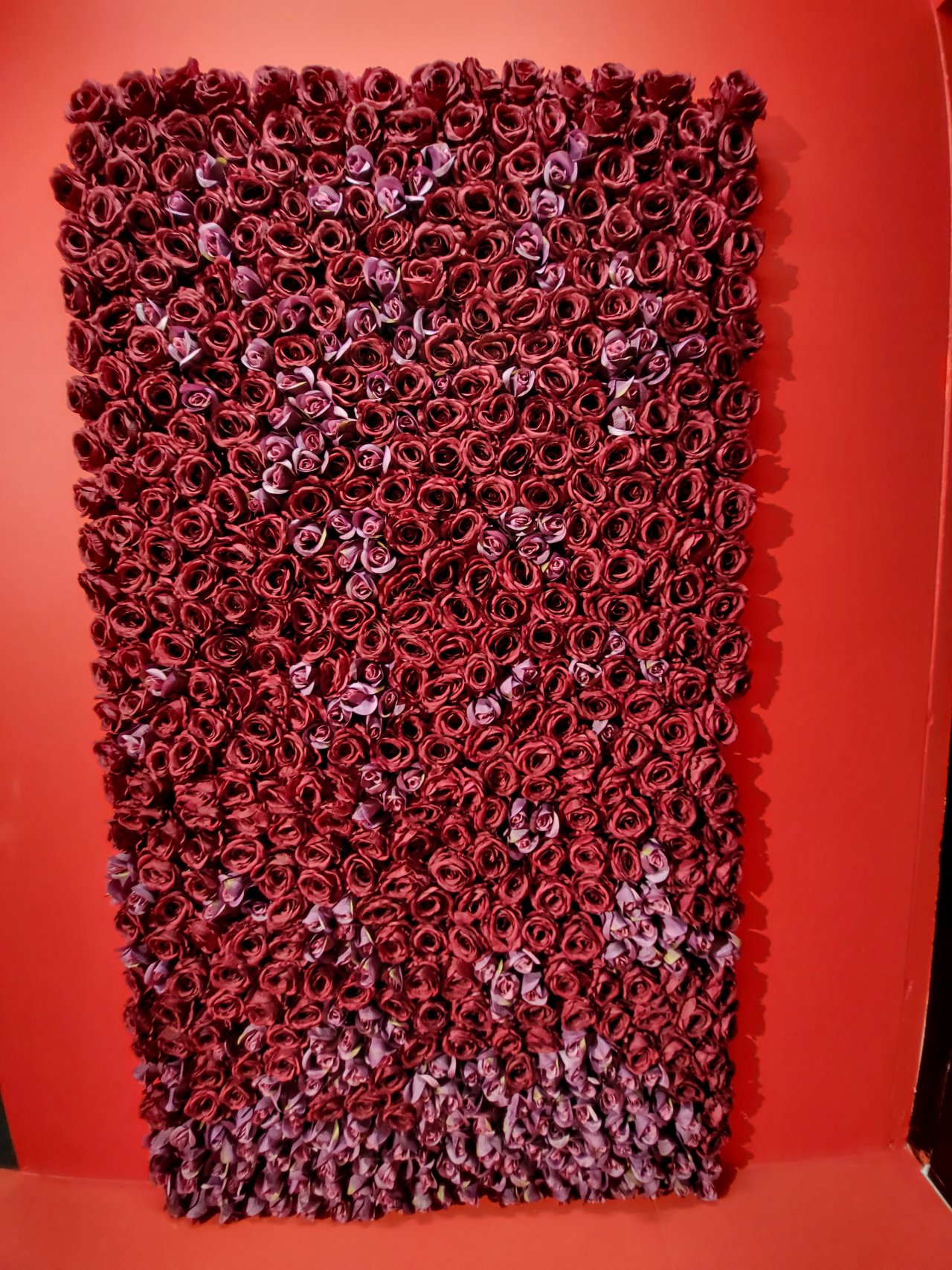 20221021_172646