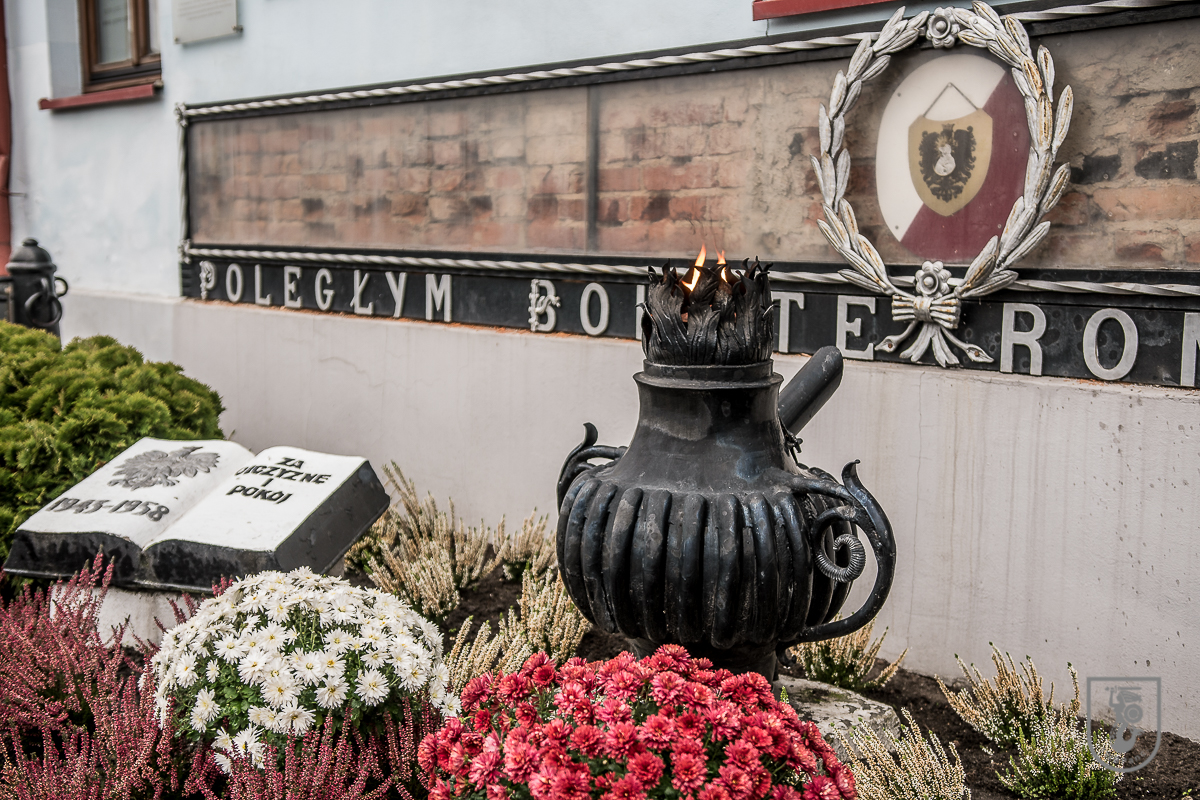 Narodowe Święto Niepodległości-1042