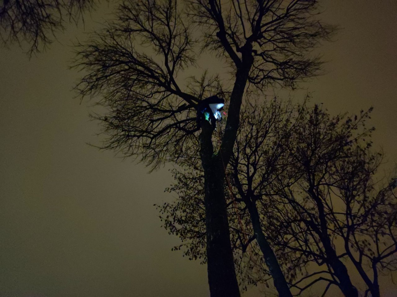 116o98