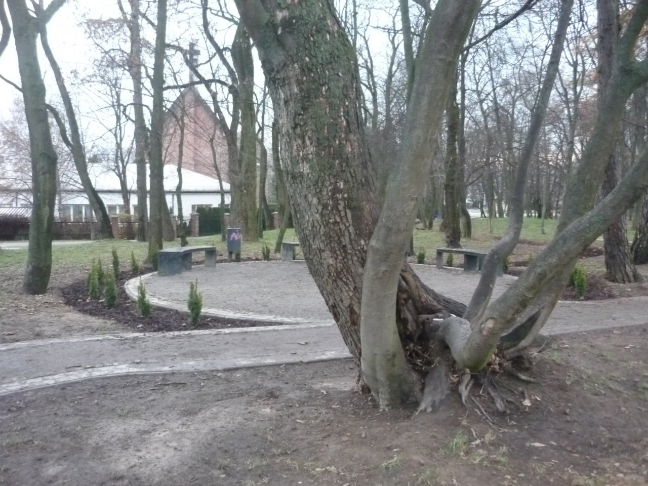 P1180373