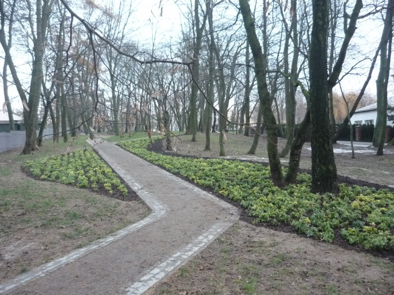 P1180378