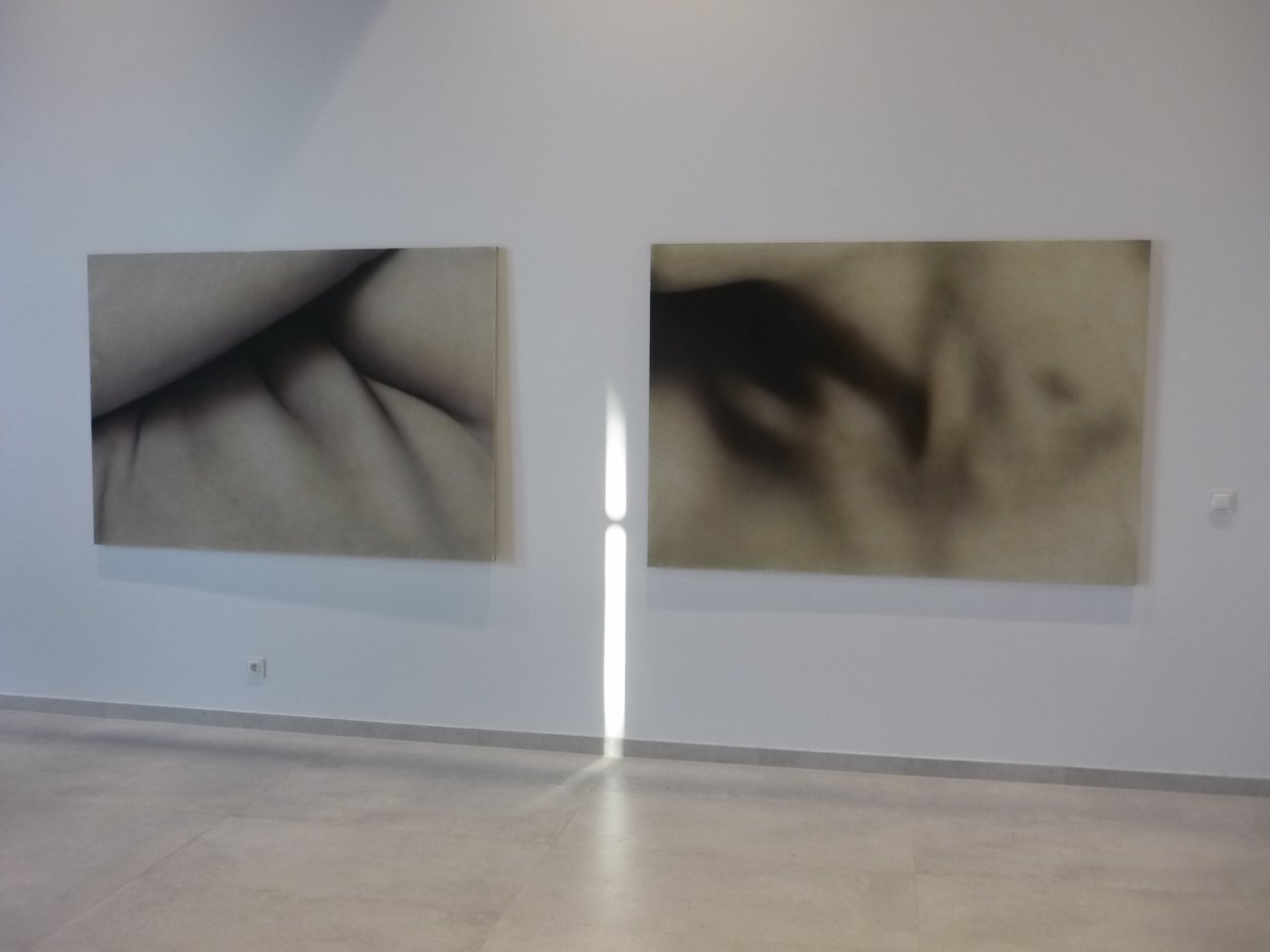P1180519