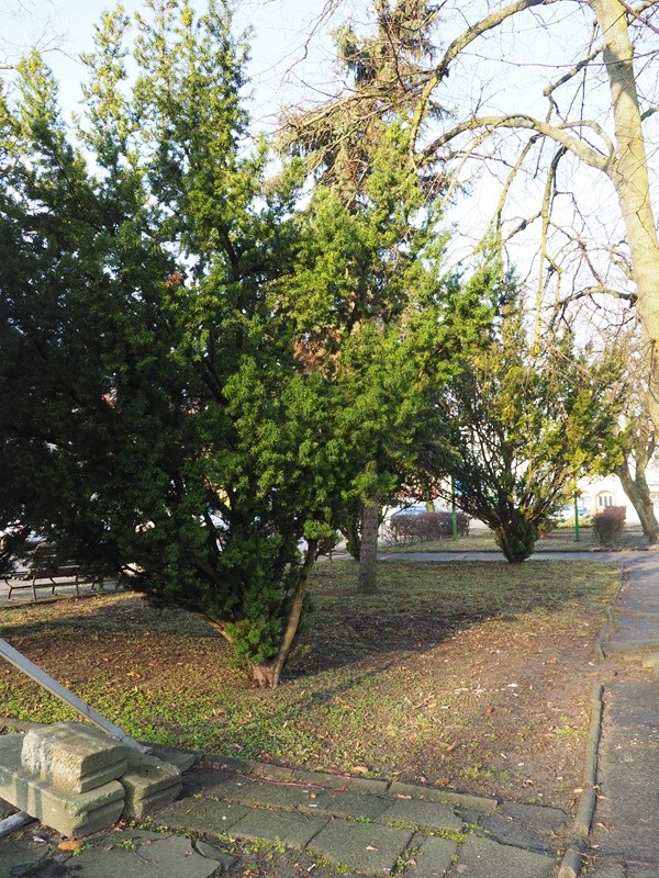p1010217