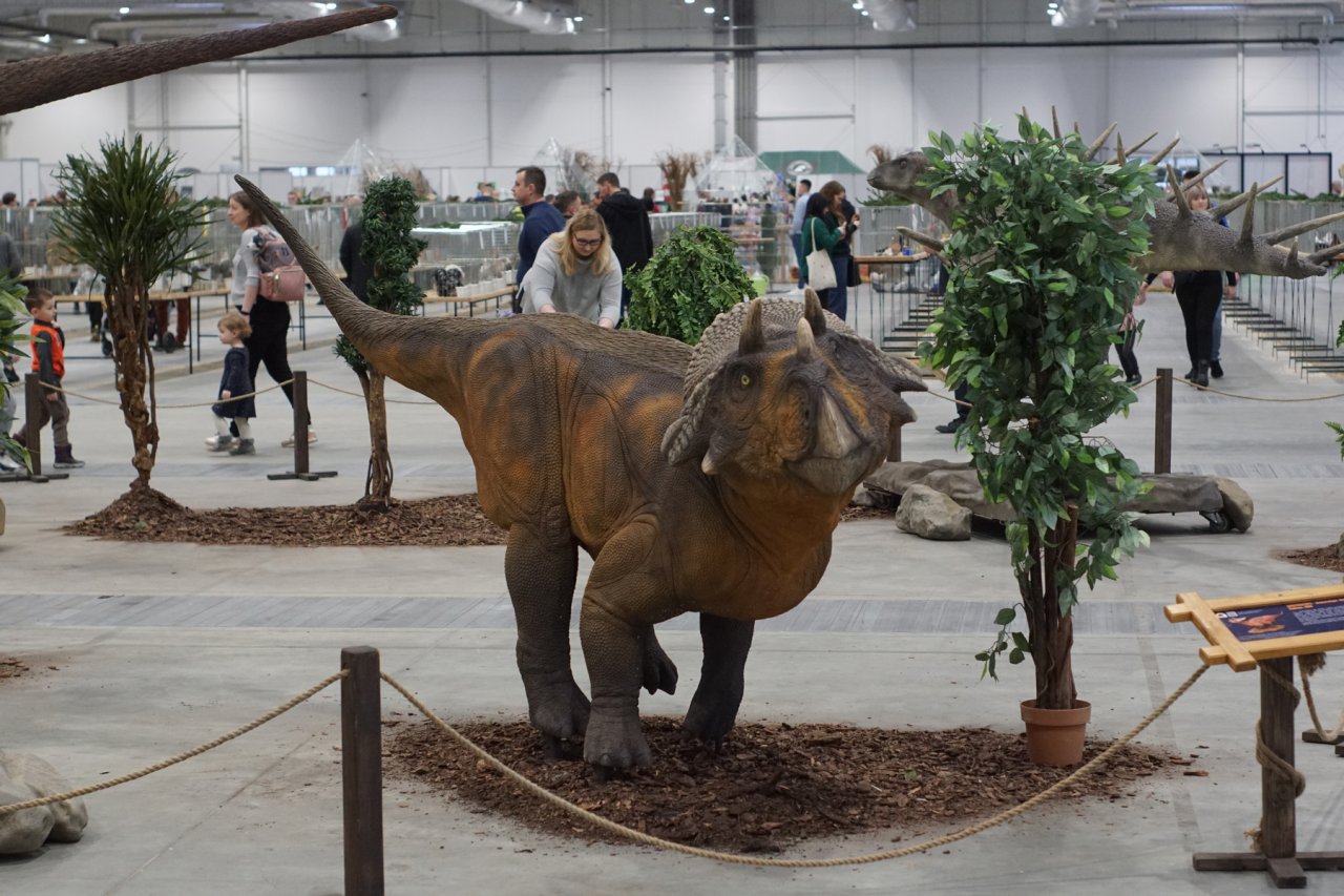 DSC09074