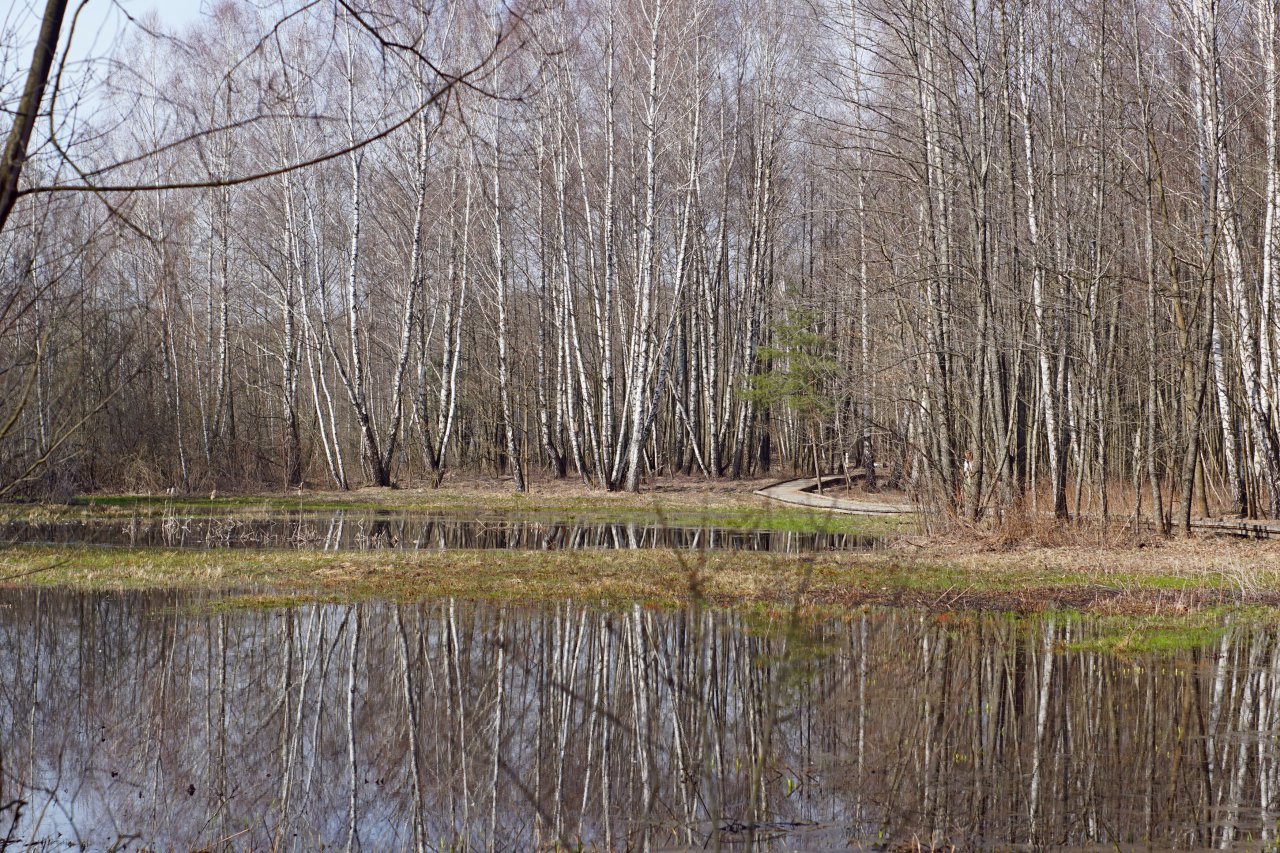 DSC09499