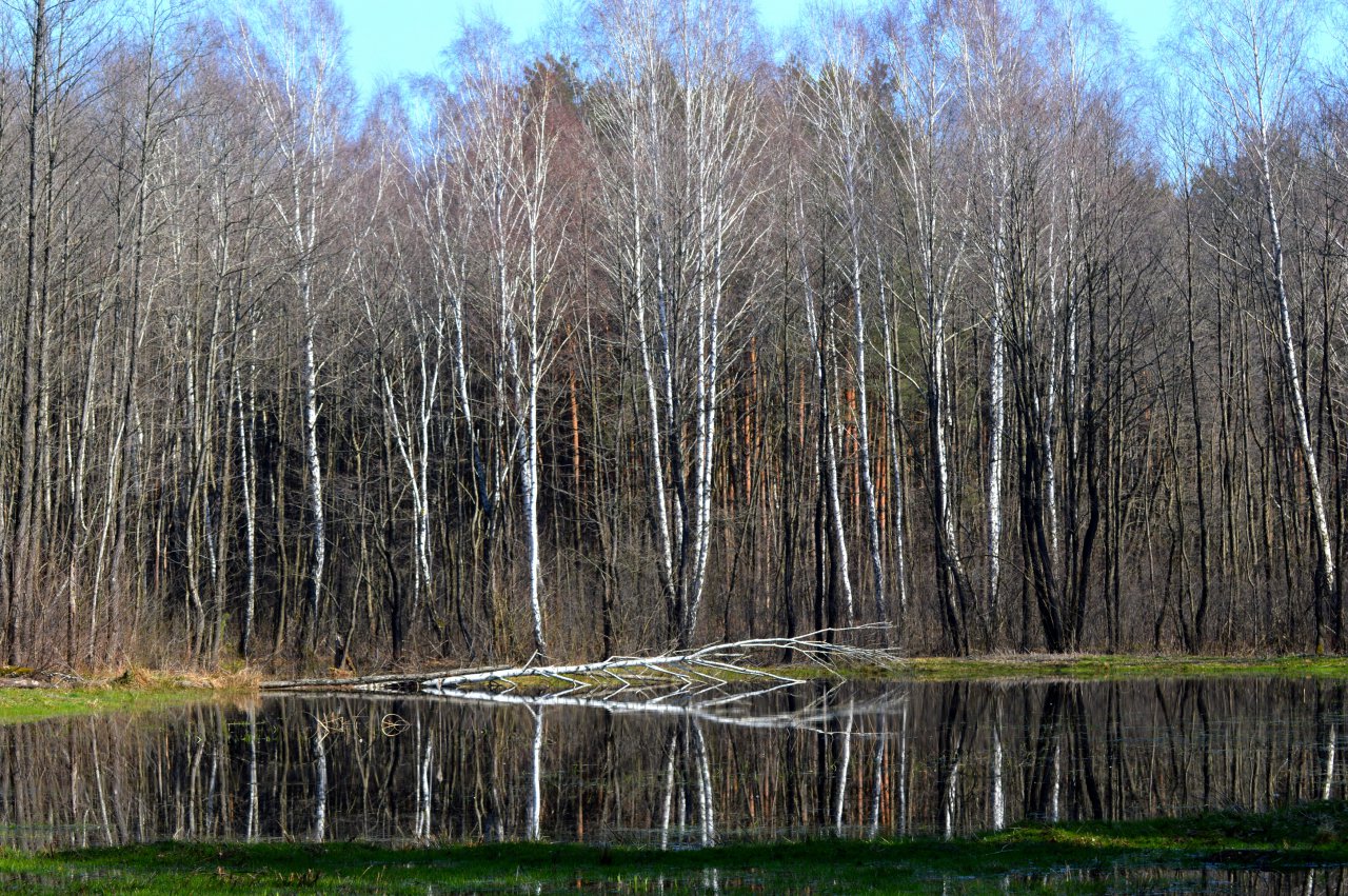 DSC_4492