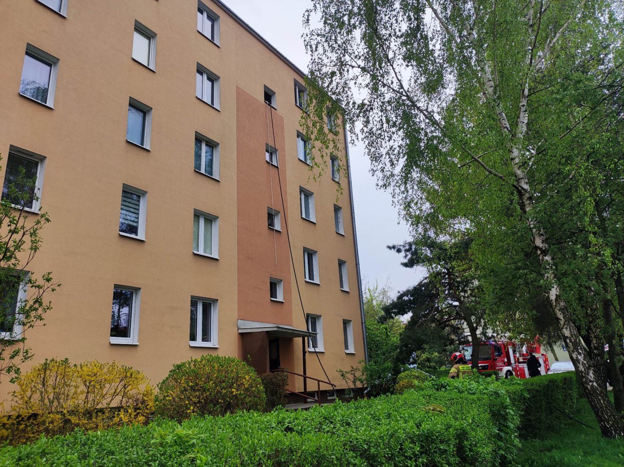 119b3