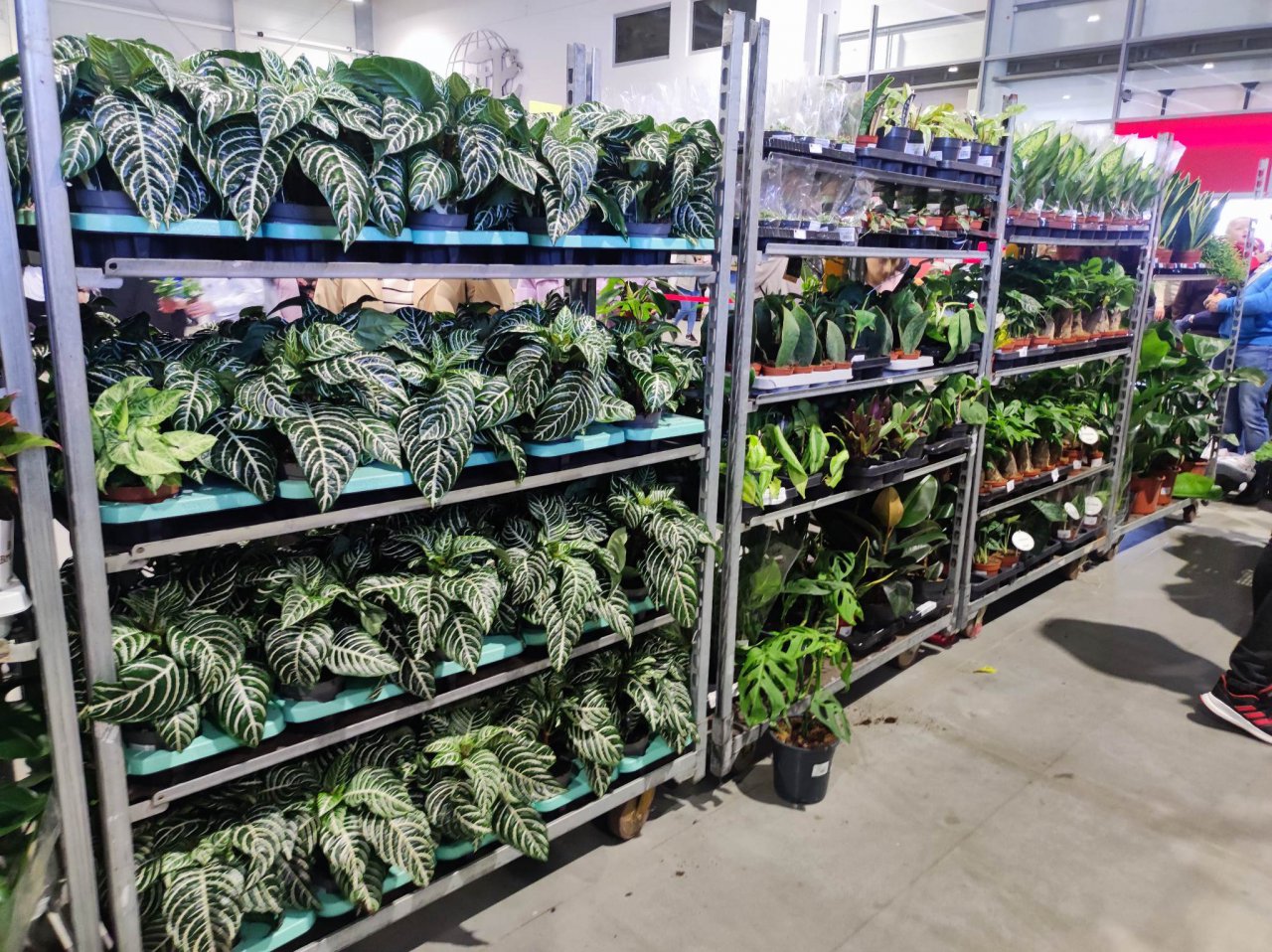 118y94