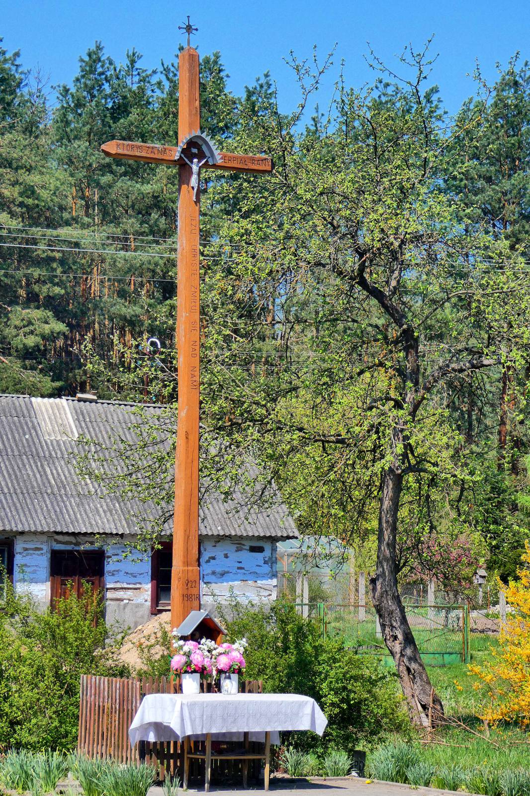 P2540646 Emilcin - Wojciech Grzegorz Domagała