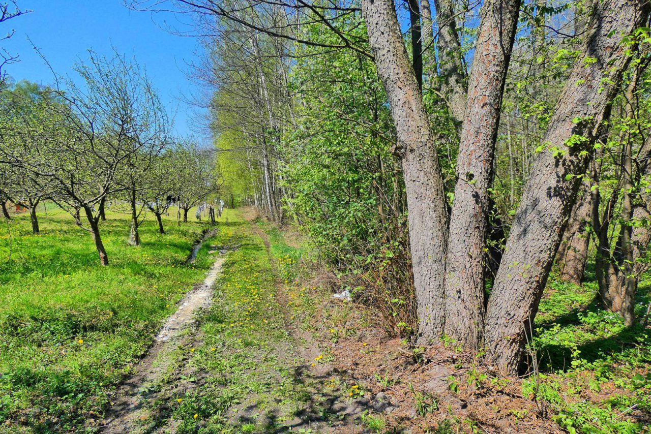 P2540694 Emilcin - Wojciech Grzegorz Domagała