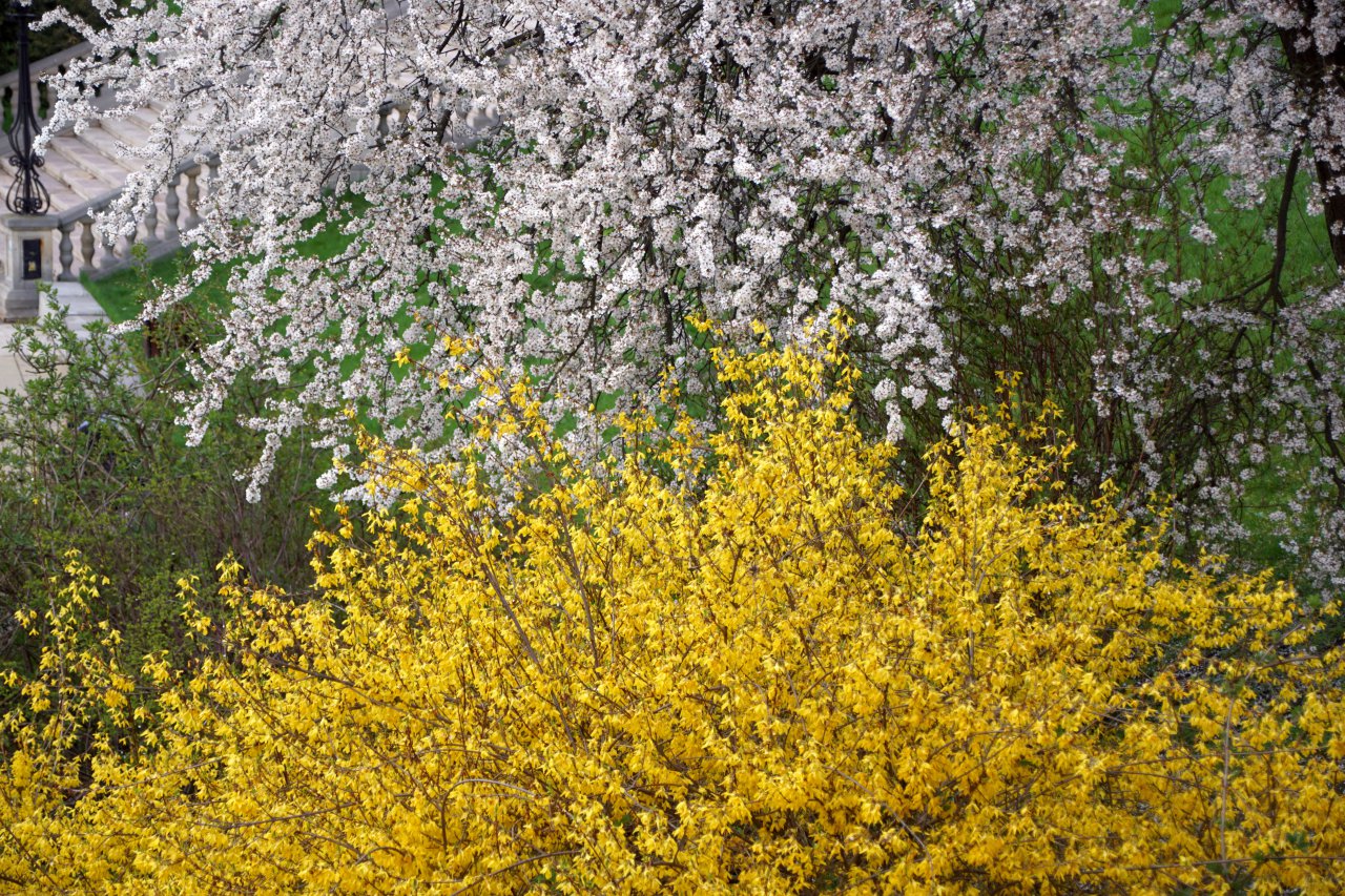 DSC00615